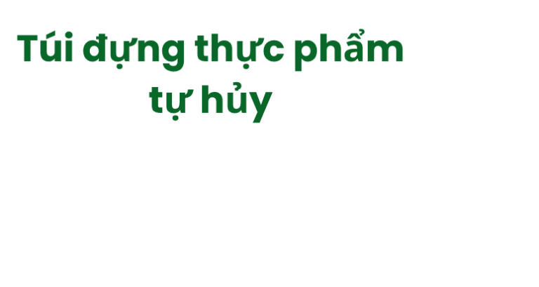 Túi đựng thực phẩm tự hủy - Ảnh hiệu ứng