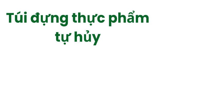 Túi đựng thực phẩm tự hủy - Ảnh hiệu ứng