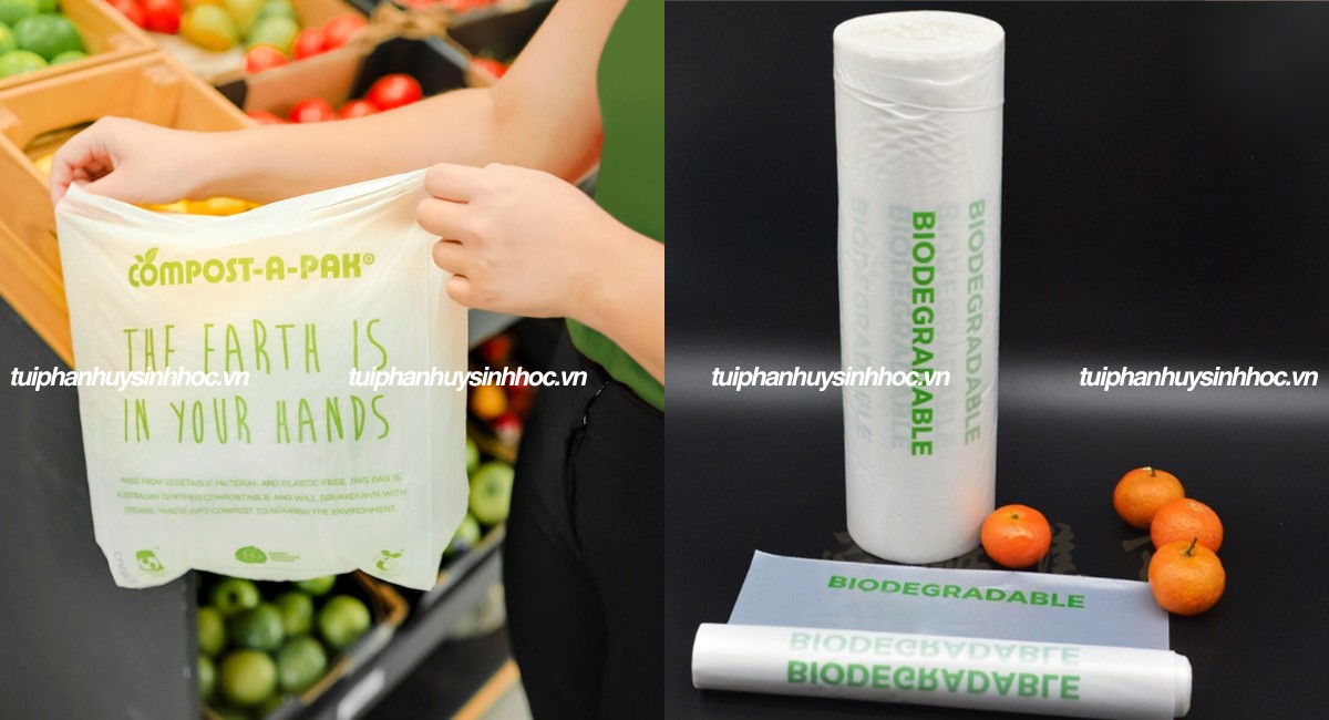Túi đựng thực phẩm tự hủy sinh học