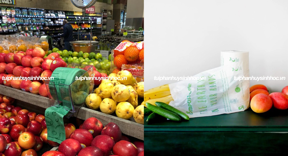 Túi đựng thực phẩm tự hủy sinh học