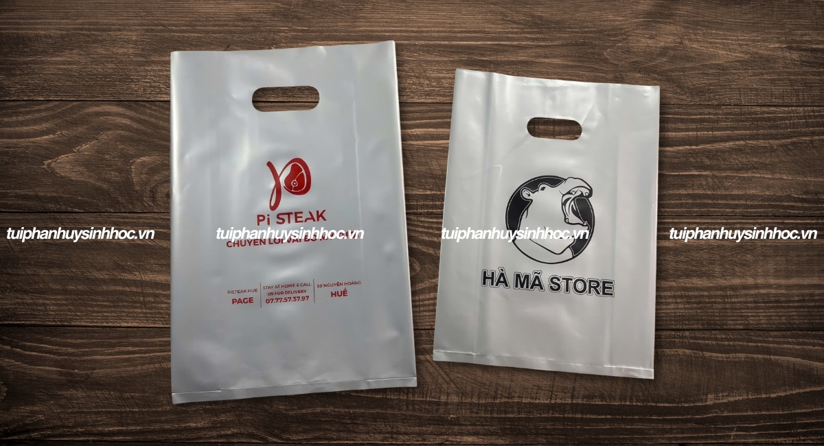 Kích thước túi hột xoài tự hủy sinh học