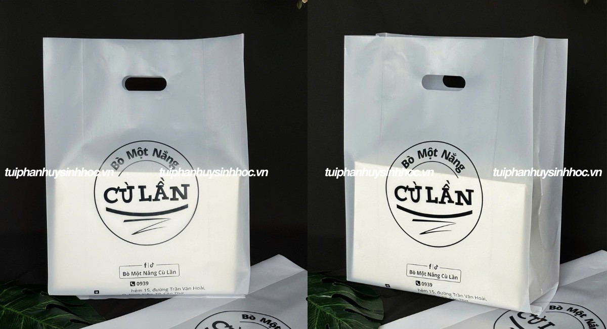 Túi hột xoài tự hủy sinh học