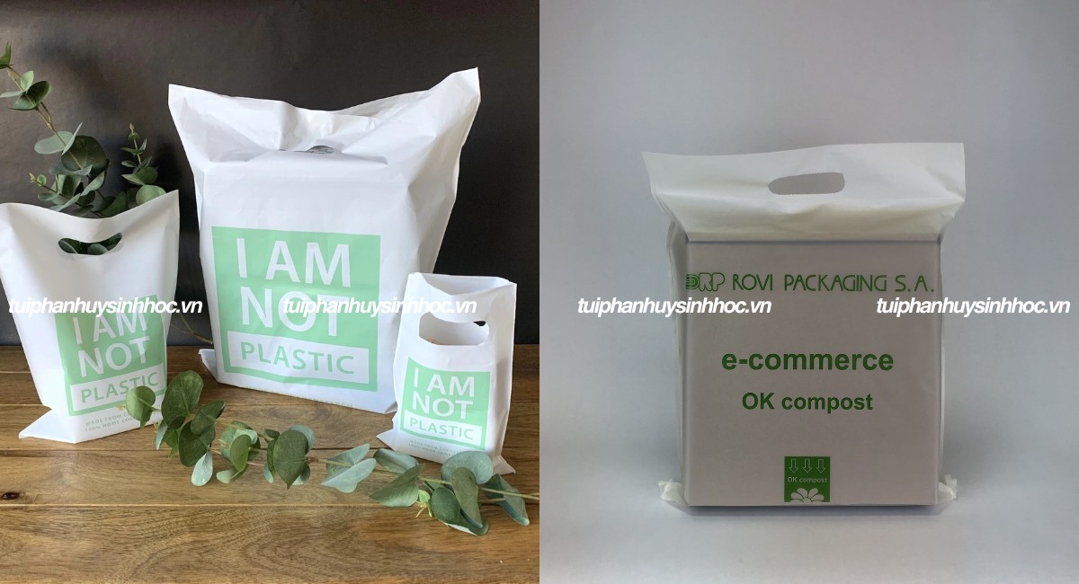 Túi hột xoài tự hủy sinh học