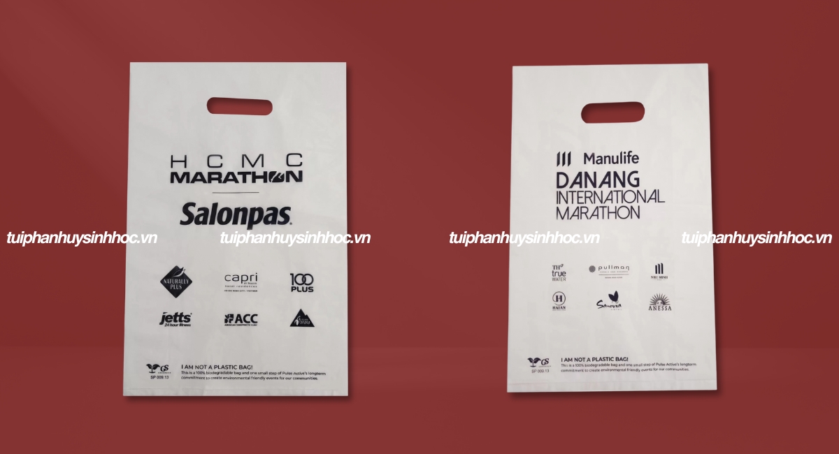 Túi hột xoài tự hủy sinh học