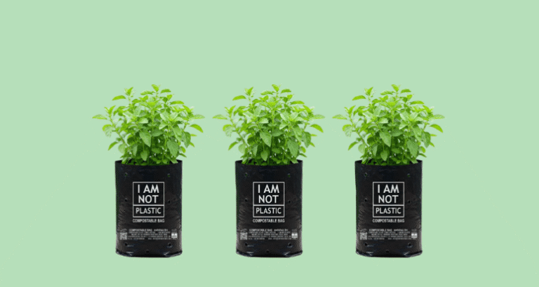 Túi tự hủy khác