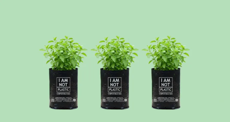 Túi tự hủy khác - Ảnh chính