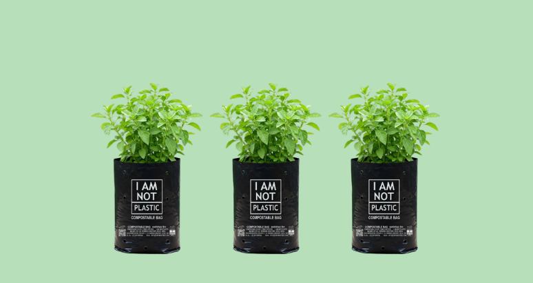 Túi tự hủy khác - Ảnh chính