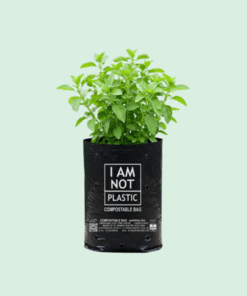 Túi ươm cây tự hủy
