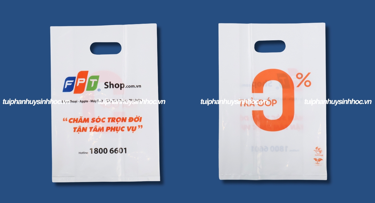 Túi hột xoài tự hủy FPT