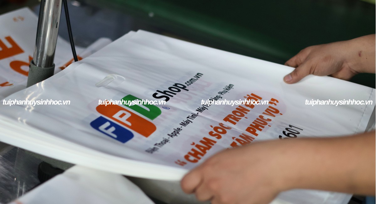 Túi hột xoài tự hủy FPT