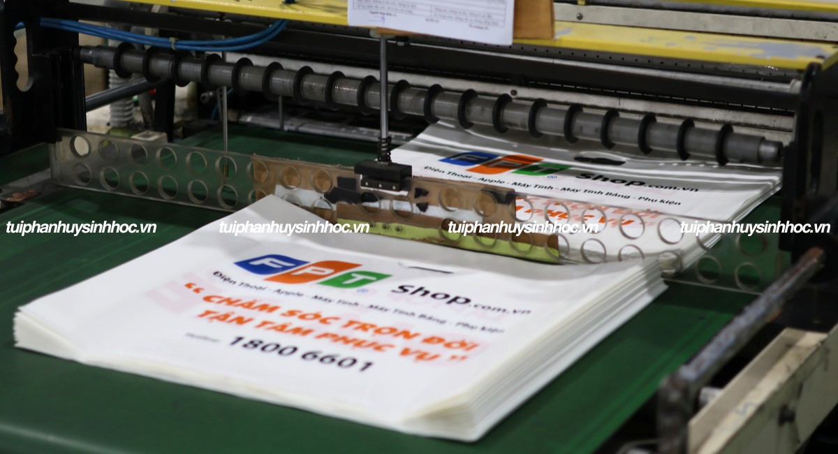 Túi hột xoài tự hủy FPT