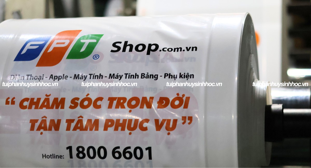 Túi hột xoài tự hủy FPT