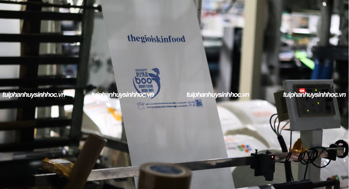 Túi hột xoài tự hủy thế giới skinfood