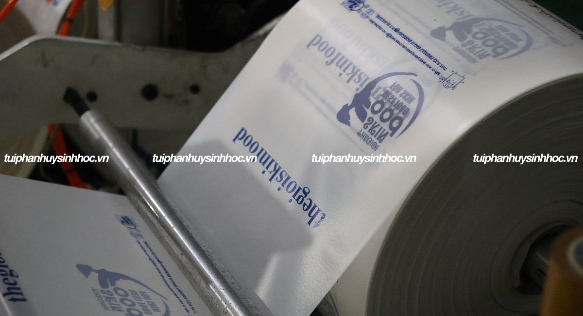 Túi hột xoài tự hủy thế giới skinfood