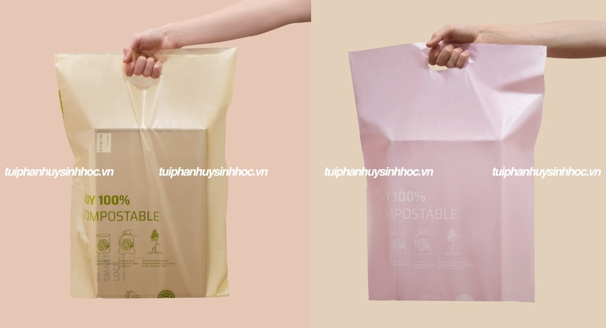 Khái niệm túi hột xoài tự hủy