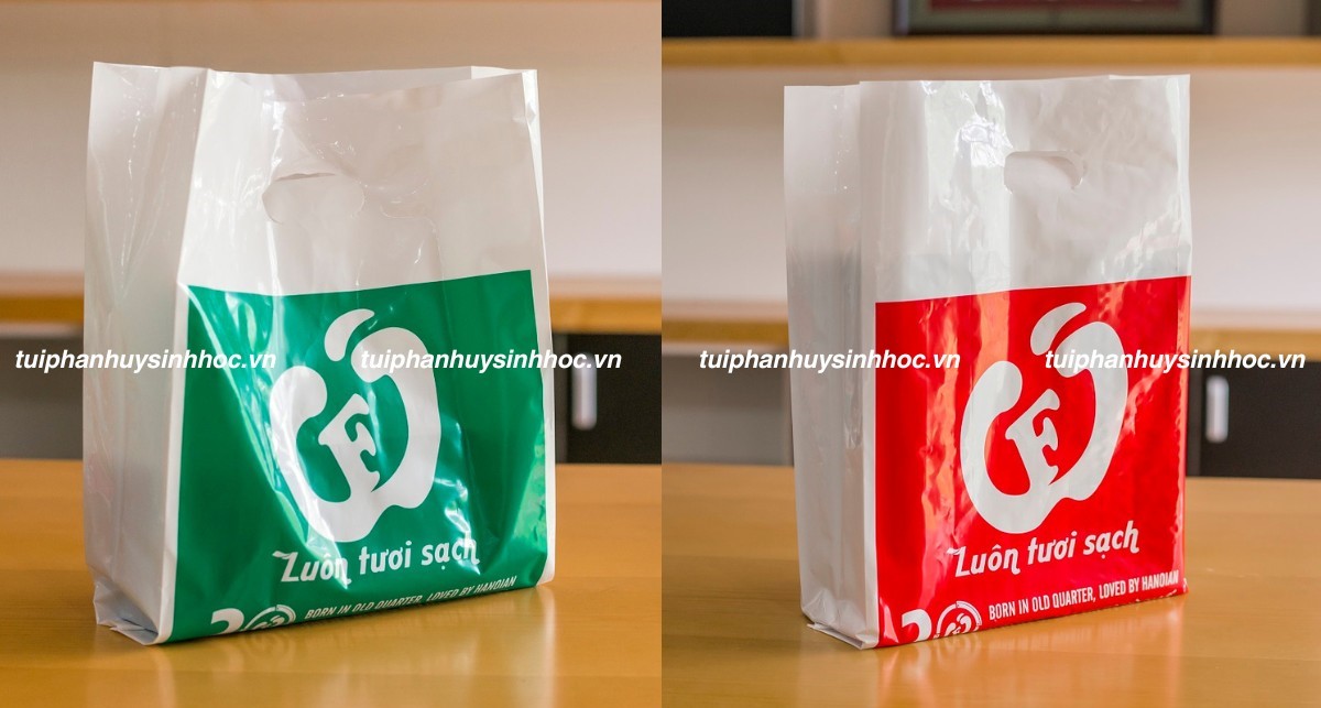 Túi hột xoài tự hủy sử dụng trong thực phẩm