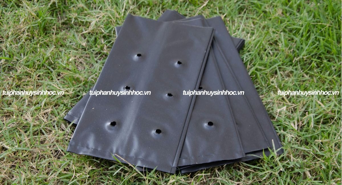 Túi ươm cây tự hủy