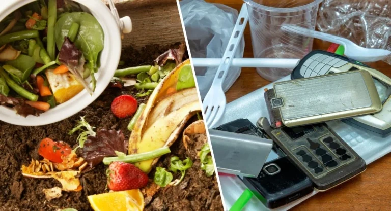 Các chất có thể phân hủy sinh học và không thể phân hủy sinh học