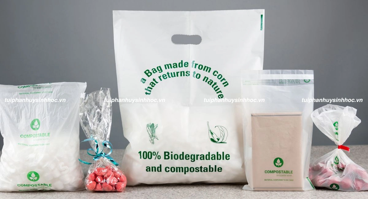 Túi tự hủy là gì