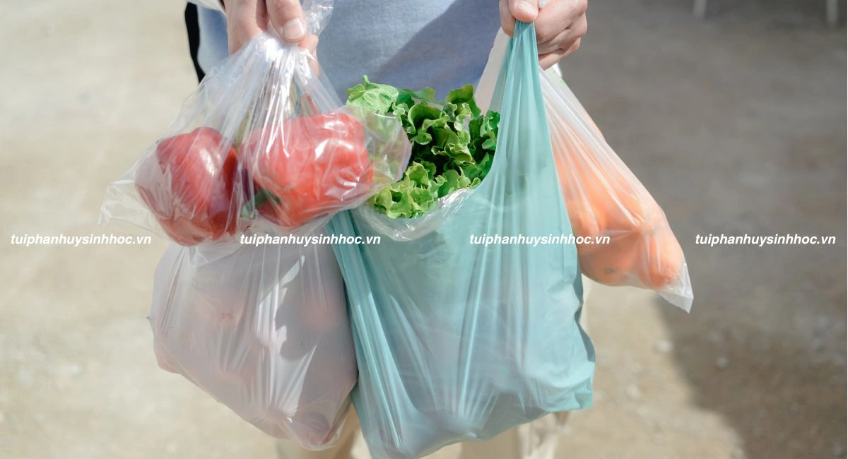 Thực trạng và rào cản từ túi tự hủy sinh học tạ Việt Nam