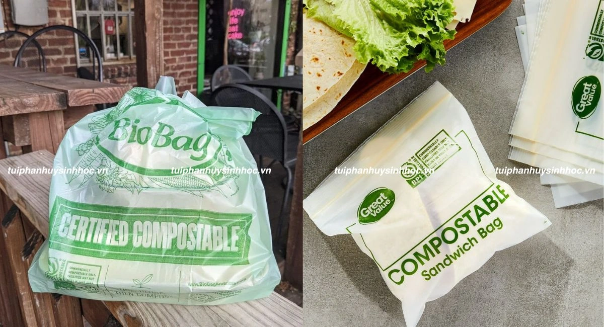 Túi tự hủy sinh học là gì?