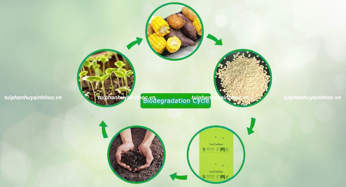 Ưu điểm túi tự hủy sinh học