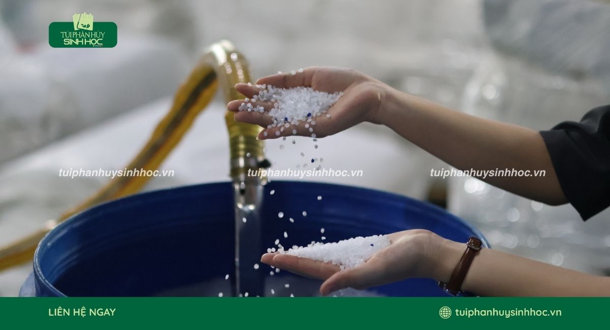 Hạt nhựa sinh học được chọn lọc ký lưỡng