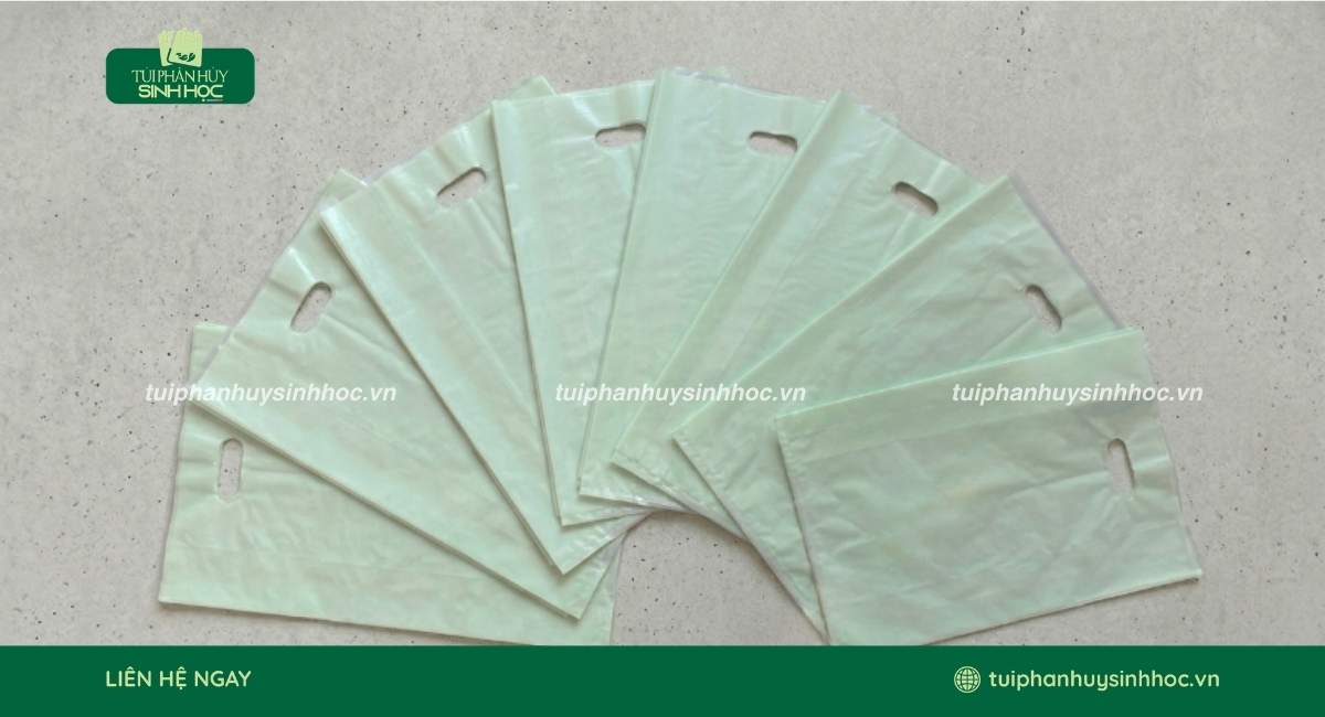 Mẫu túi hột xoài tinh bột đa dạng kích thước