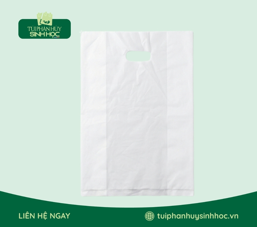 Túi hột xoài tinh bột