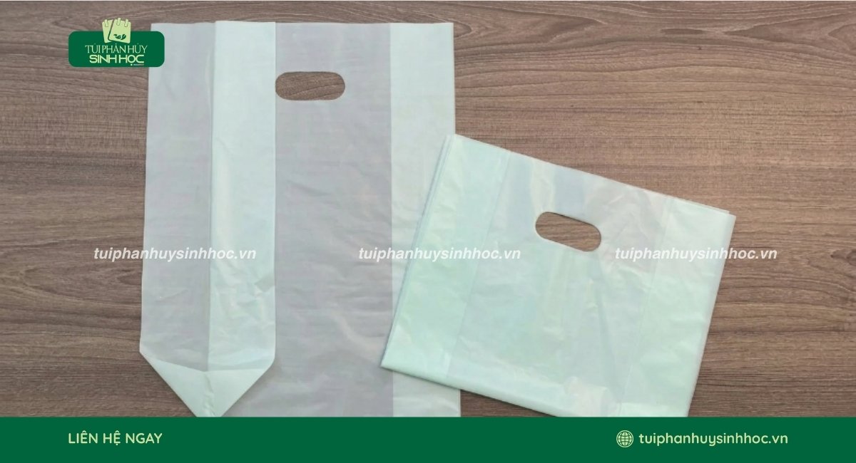Túi hột xoài tinh bột là gì