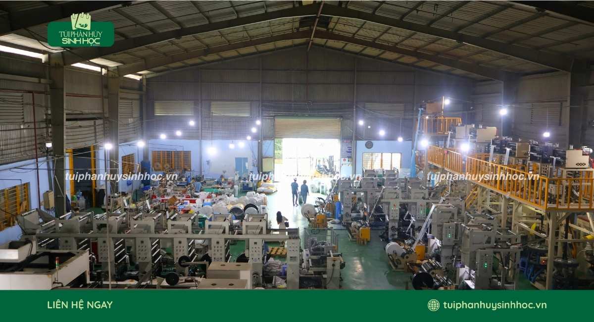 Túi Phân Hủy Sinh Học xưởng sản xuất túi tinh bột uy tín TP Hồ Chí Minh
