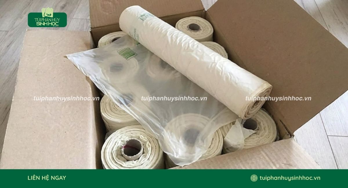 Bảo quản túi đựng thực phẩm ở nơi khô ráo