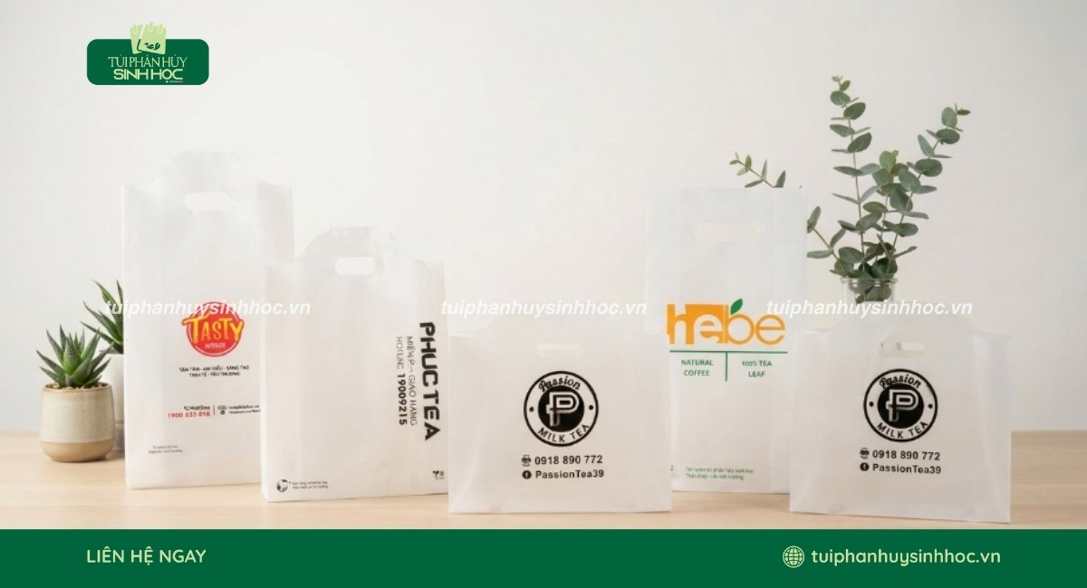 Mẫu túi đựng 2 ly tự hủy có in logo