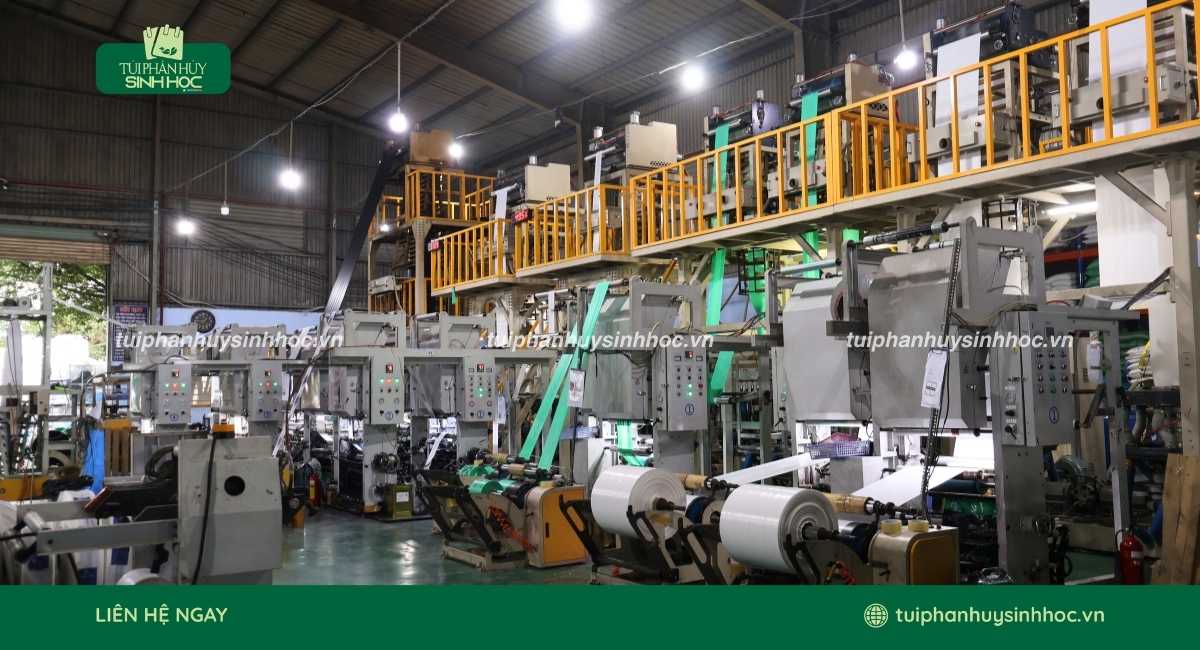Túi Phân Hủy Sinh Học xưởng chuyên sản xuất túi đựng ly tự hủy đạt chuẩn