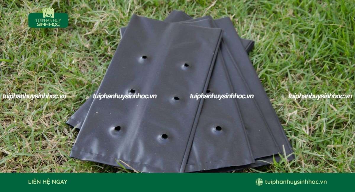 Túi ươm cây tự hủy có lỗ thoát nước tốt