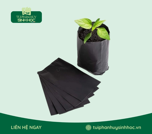 Túi ươm cây tự hủy phổ biến
