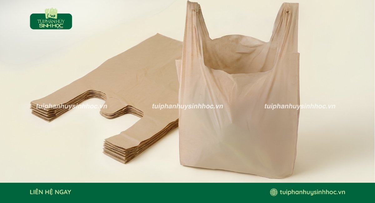 Bao bì thực phẩm được sản xuất từ bã mía