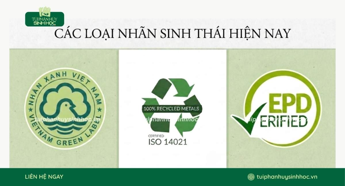 Các loại nhãn sinh thái phổ biến hiện nay