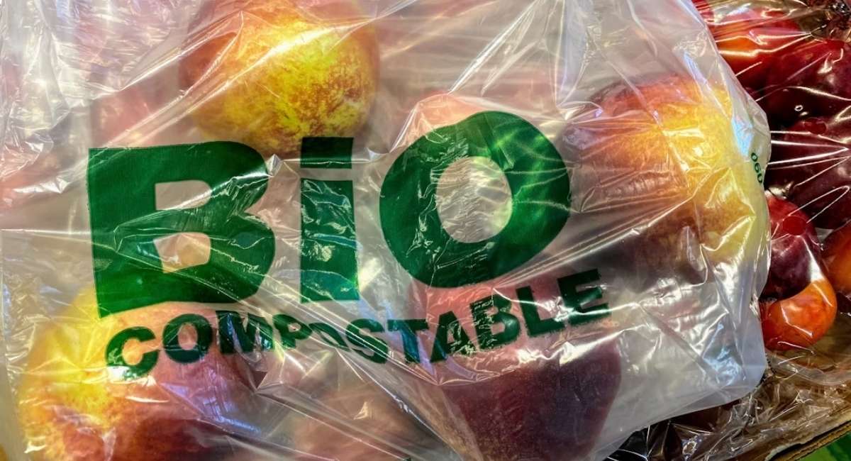 Compostable Là Gì? Tìm Hiểu Vật Liệu Phân Hủy Hữu Cơ Hiện Nay