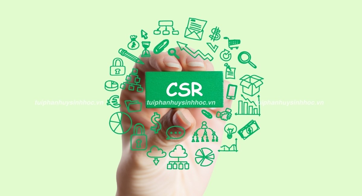 CSR là gì? Lợi ích khi áp dụng CSR trong doanh nghiệp