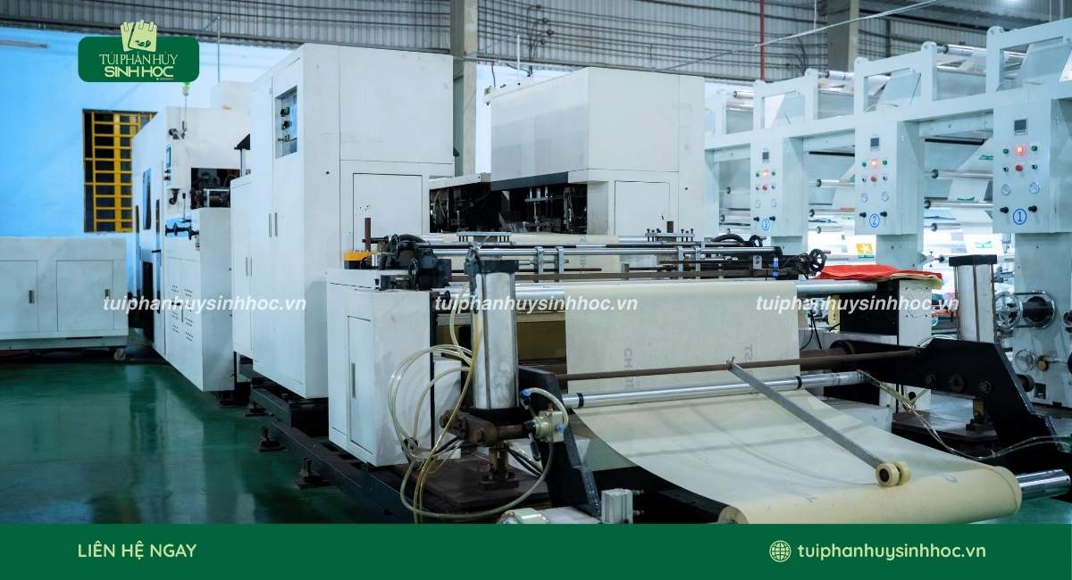 Doanh nghiệp sản xuất bao bì áp dụng ESG đáp ứng yêu cầu thị trường xuất khẩu