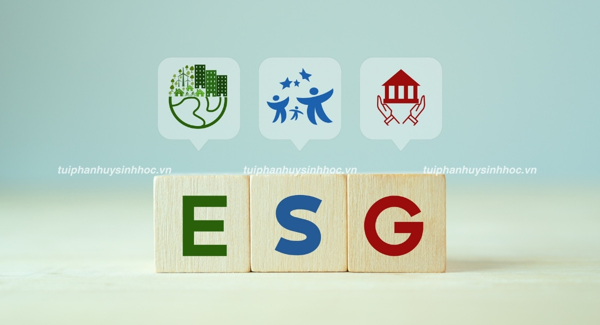 ESG là gì? Tác động đến doanh nghiệp và ngành bao bì ra sao?