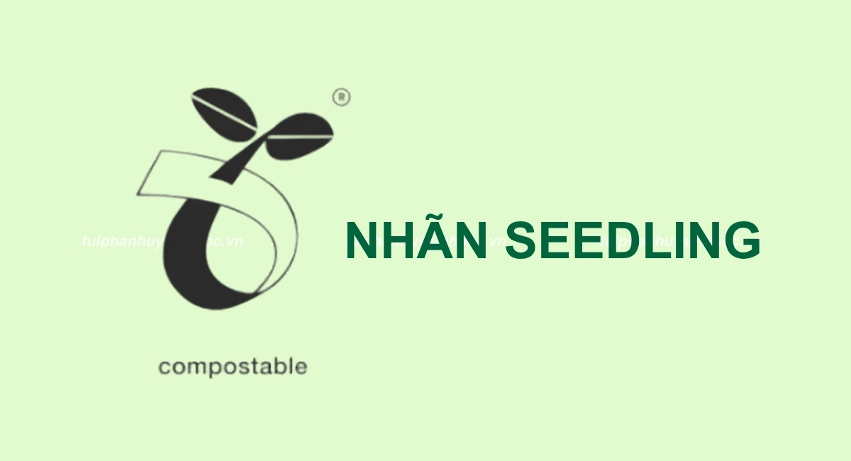 Nhãn Seedling là gì? Điều kiện đạt chứng nhận cho sản phẩm Compostable
