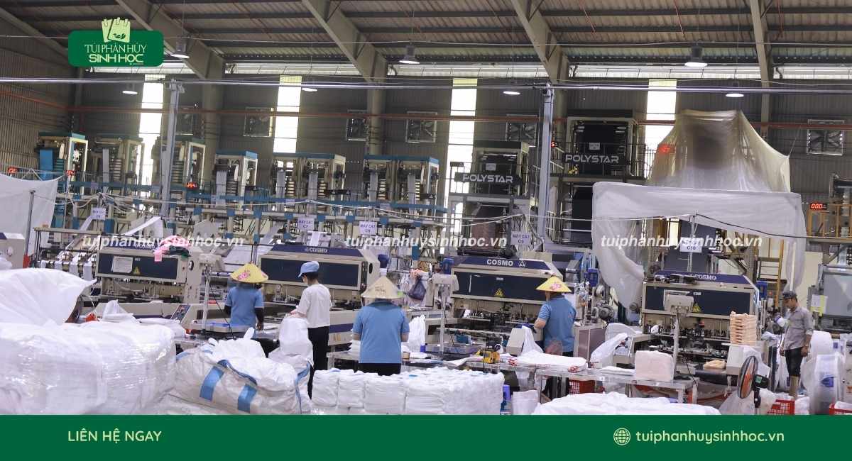 Xưởng Túi Phân Hủy Sinh Học chuyên sản xuất bao bì sinh học