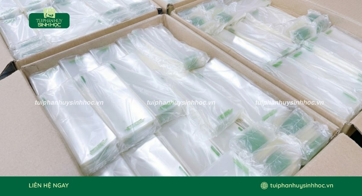 Đóng gói túi tự hủy sinh học sau một lần sử dụng