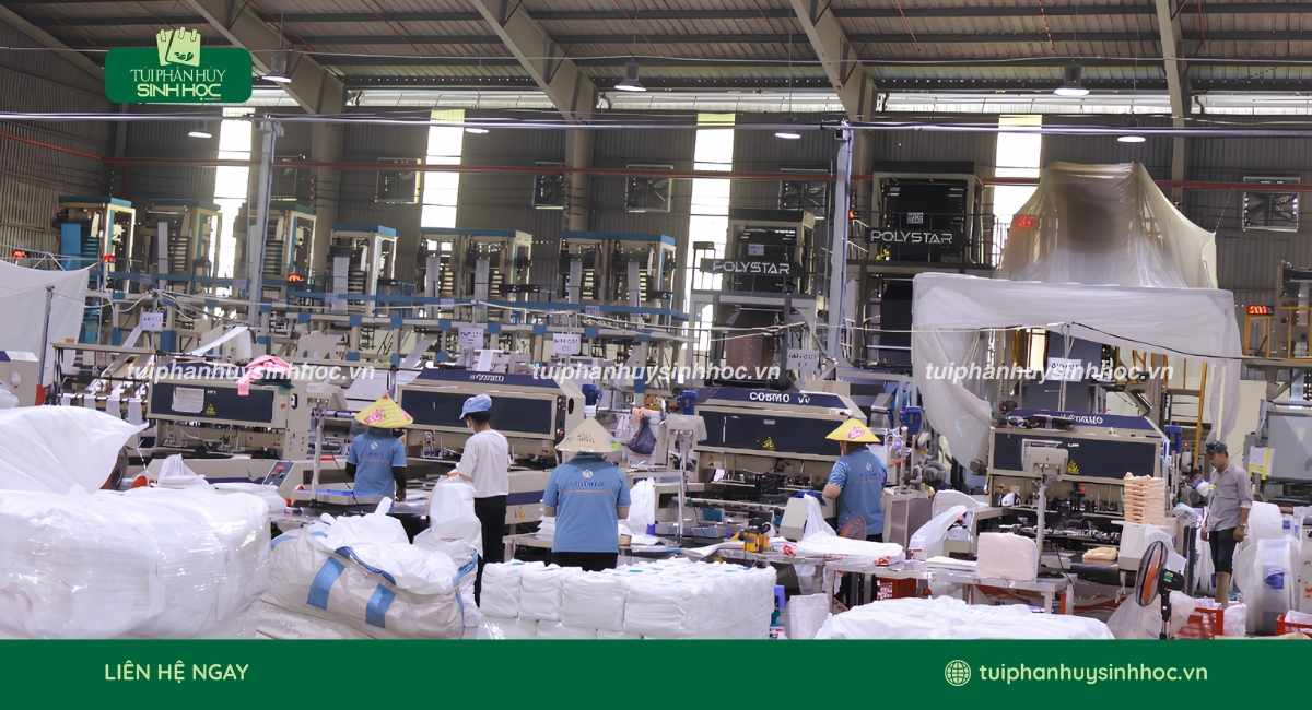 Xưởng sản xuất túi phân hủy sinh học theo yêu cầu